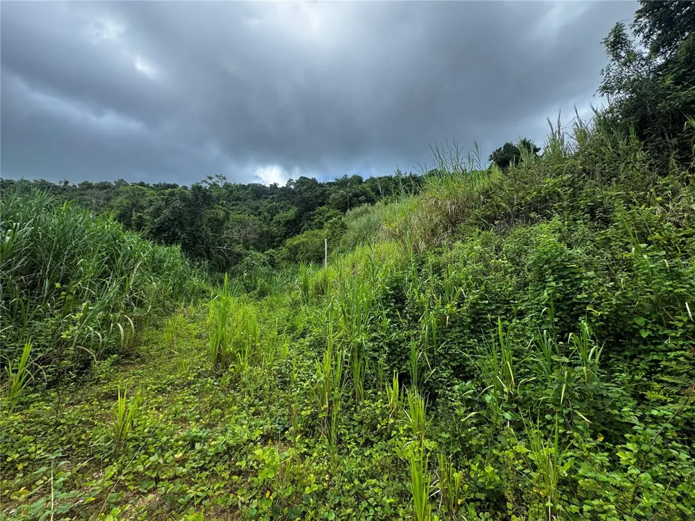 BO MASA DE GURABO CARR 181 KM 13 HM 2 #LOTE 4 Gurabo, PR 00778