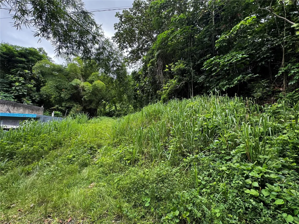 BO MASA DE GURABO CARR 181 KM 13 HM 2 #LOTE 4 Gurabo, PR 00778