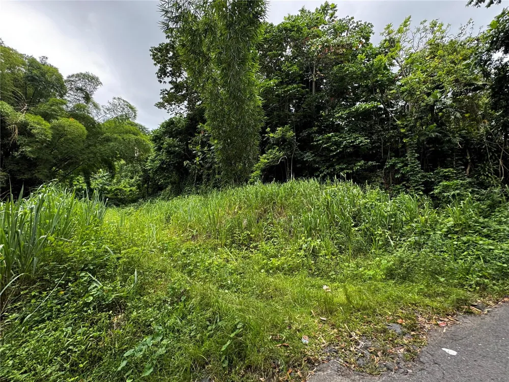 BO MASA DE GURABO CARR 181 KM 13 HM 2 #LOTE 4 Gurabo, PR 00778