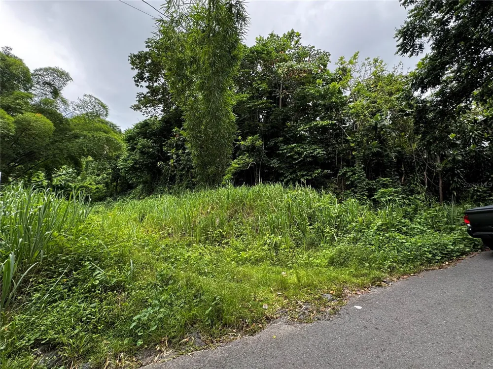 BO MASA DE GURABO CARR 181 KM 13 HM 2 #LOTE 4 Gurabo, PR 00778