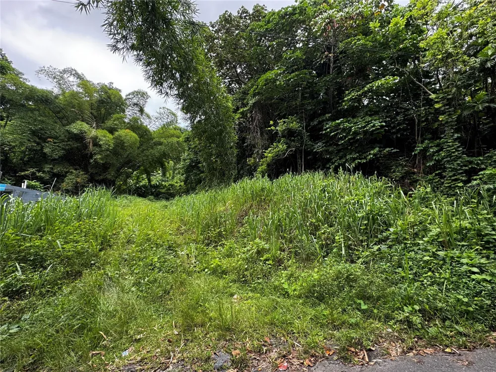 BO MASA DE GURABO CARR 181 KM 13 HM 2 #LOTE 4 Gurabo, PR 00778