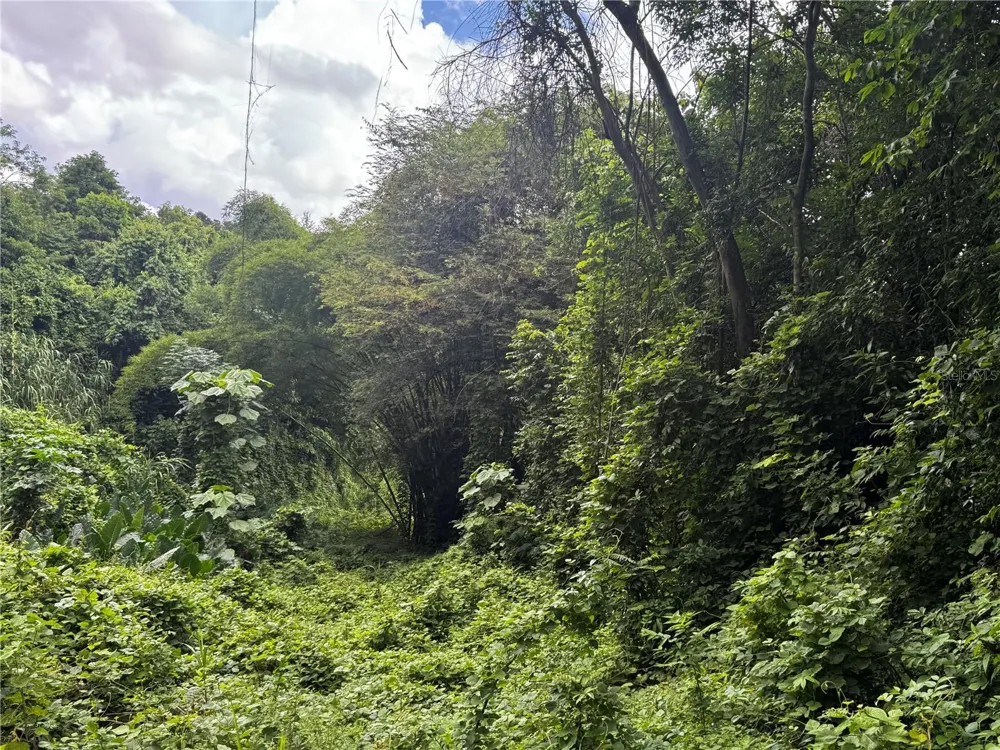 BO MASA DE GURABO CARR 181 KM 13 HM 2 #LOTE 4 Gurabo, PR 00778