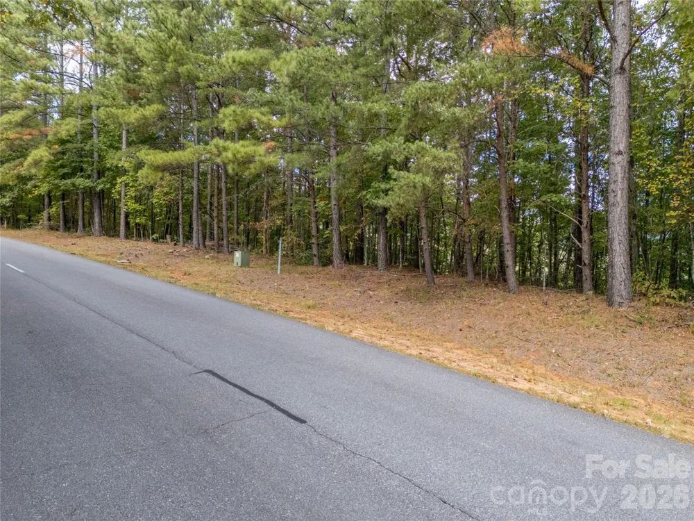 000 Deep Gap Farm Drive #2021 Mill Spring, NC 28756