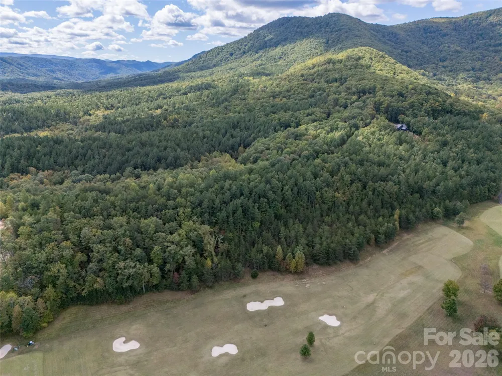 000 Deep Gap Farm Drive #2021 Mill Spring, NC 28756