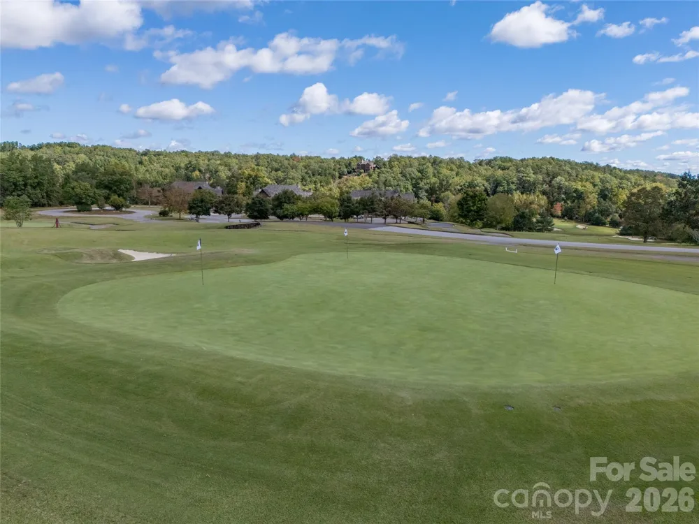 000 Deep Gap Farm Drive #2021 Mill Spring, NC 28756