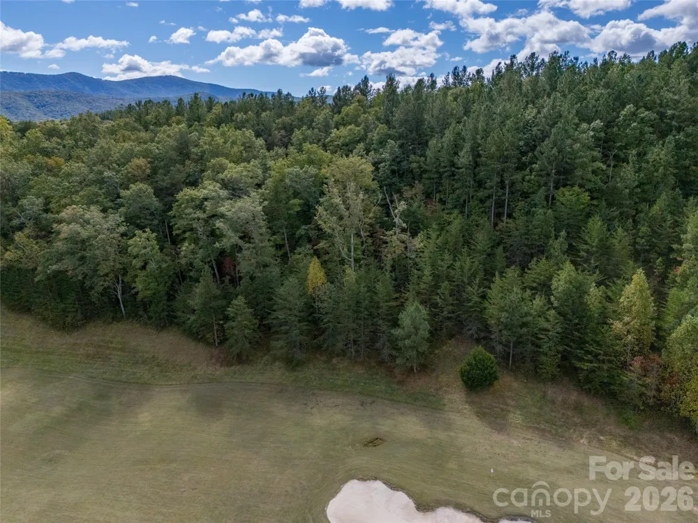 000 Deep Gap Farm Drive #2021 Mill Spring, NC 28756