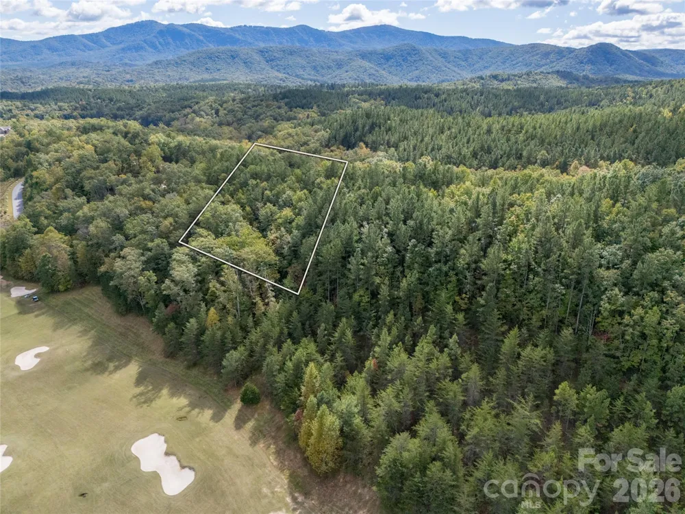 000 Deep Gap Farm Drive #2021 Mill Spring, NC 28756