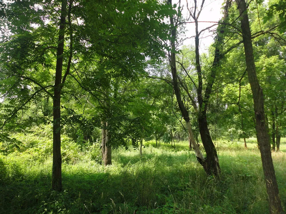 CR 215 Grand Junction, MI 49056
