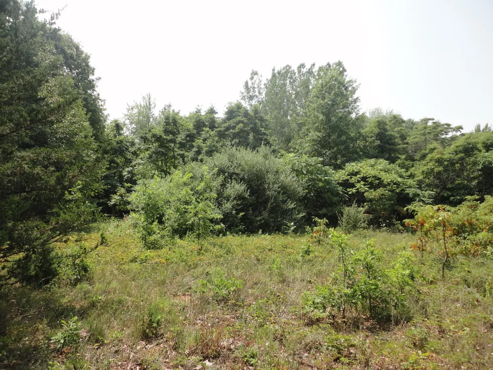 CR 215 Grand Junction, MI 49056