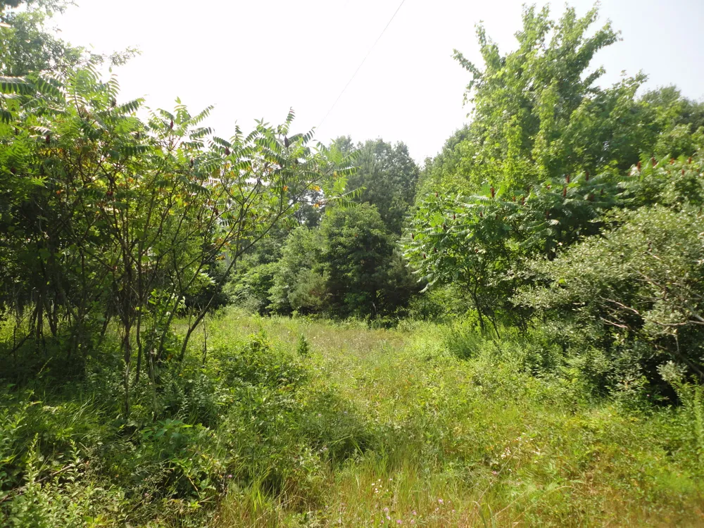 CR 215 Grand Junction, MI 49056