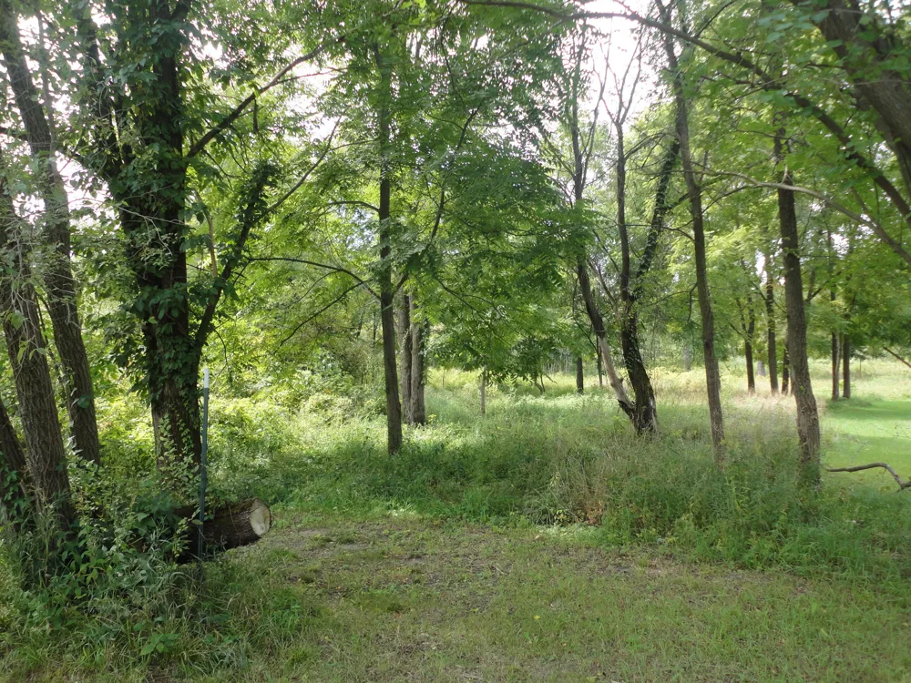CR 215 Grand Junction, MI 49056