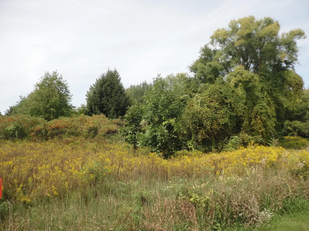 CR 215 Grand Junction, MI 49056