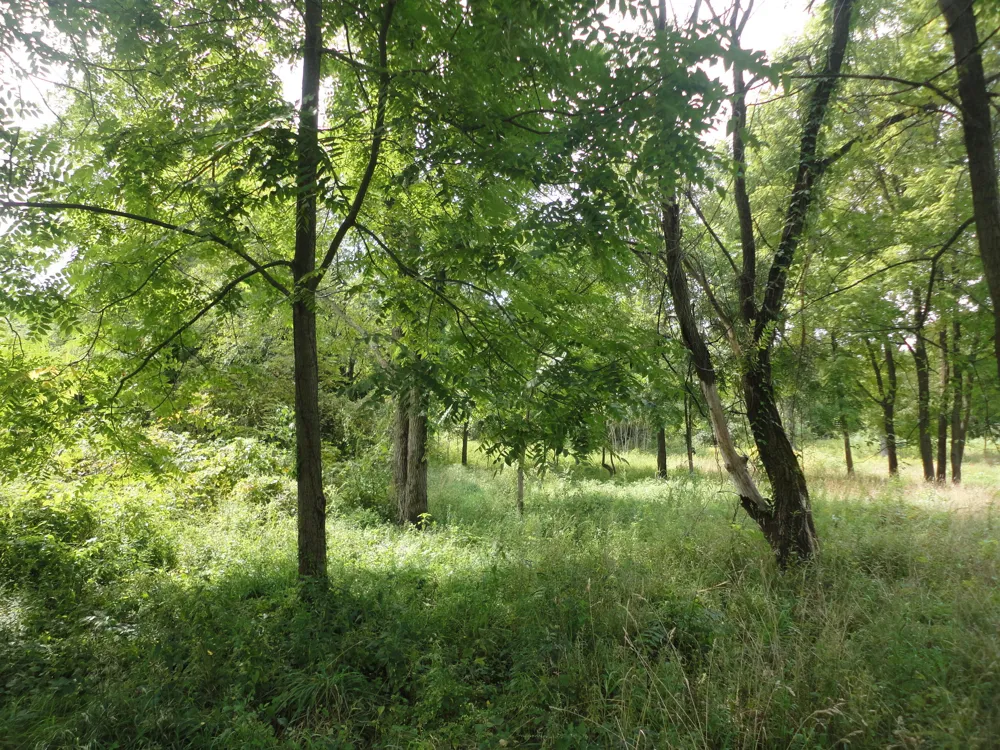 CR 215 Grand Junction, MI 49056