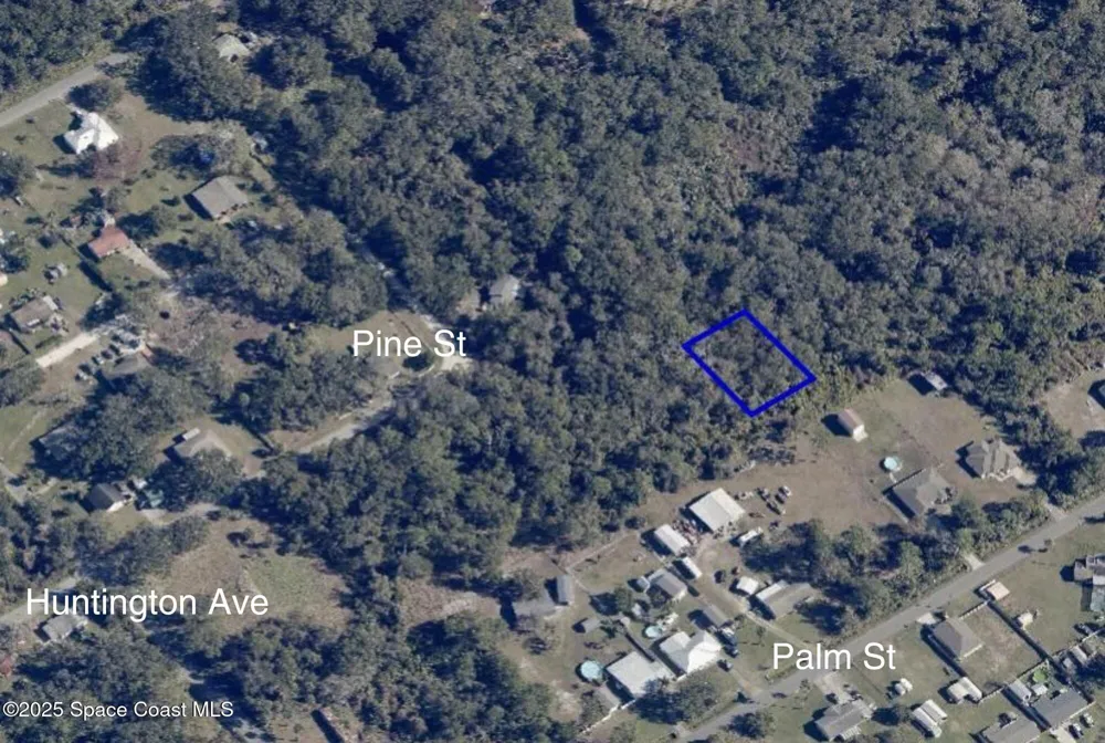 203437 -10-98-5 Mims, FL 32754