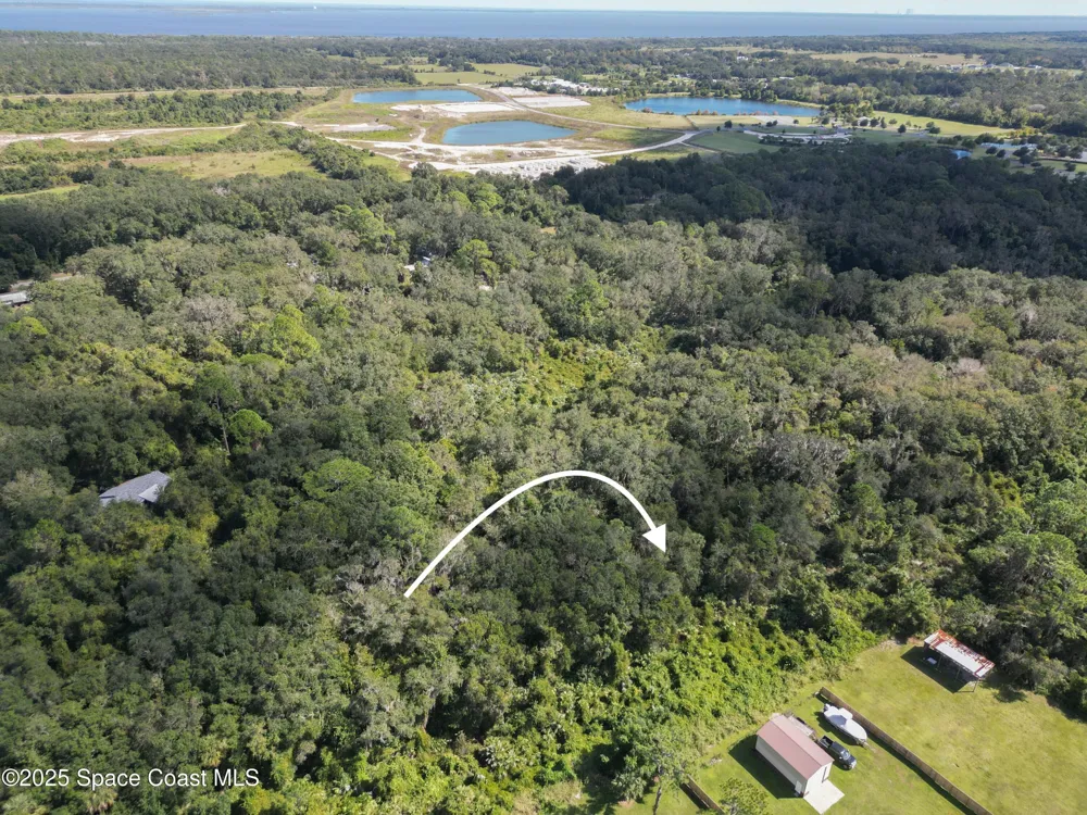 203437 -10-98-5 Mims, FL 32754