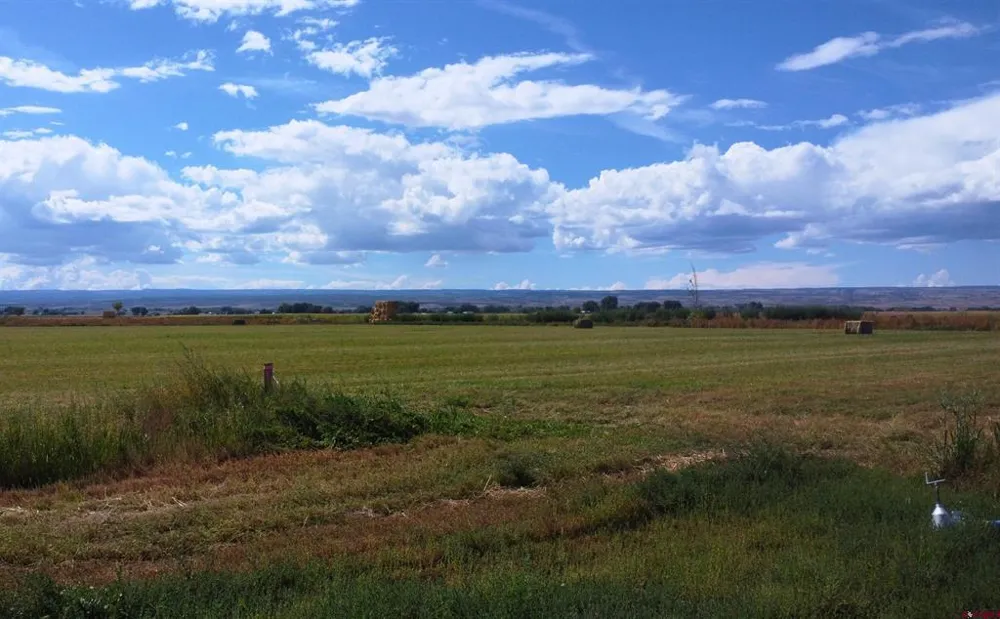 LJ ROAD Delta, CO 81416