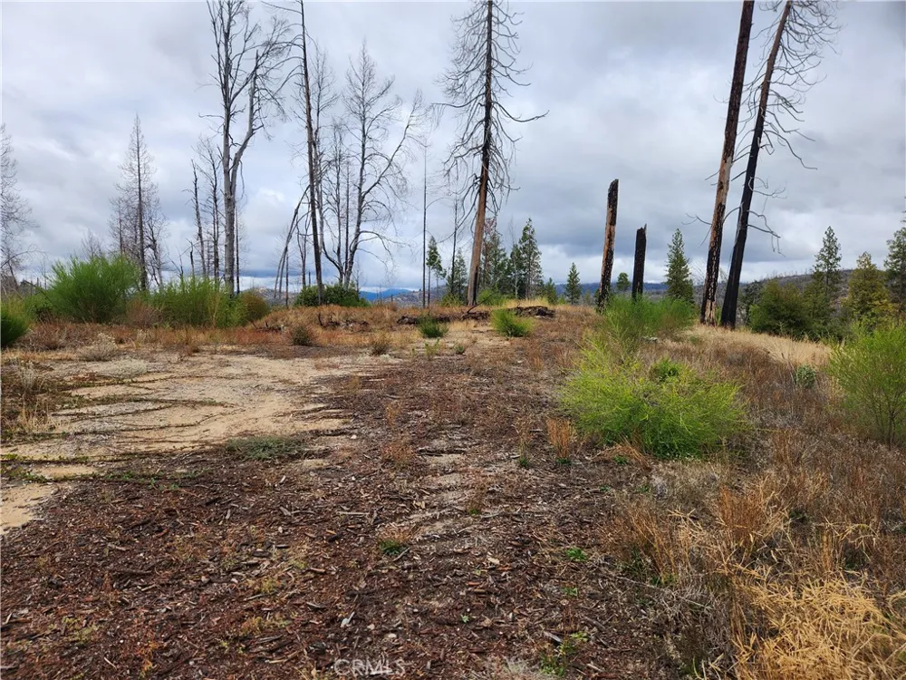 1103 Bald Rock Road Berry Creek, CA 95916