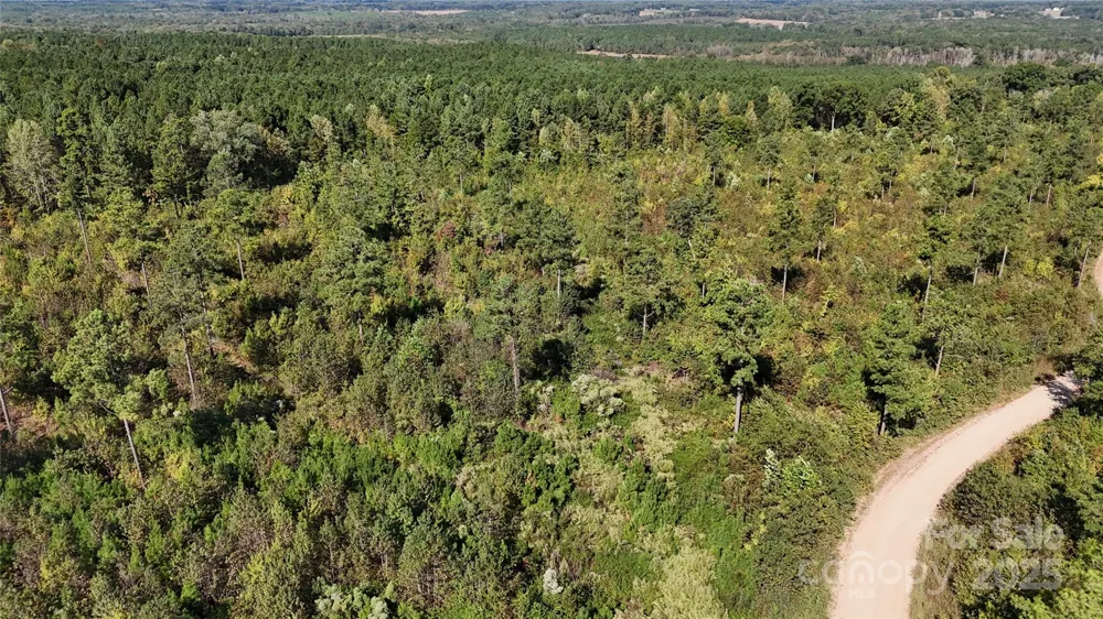 Lot 6 Farris Cato Road Pageland, SC 29728