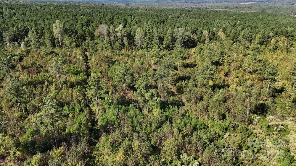 Lot 6 Farris Cato Road Pageland, SC 29728
