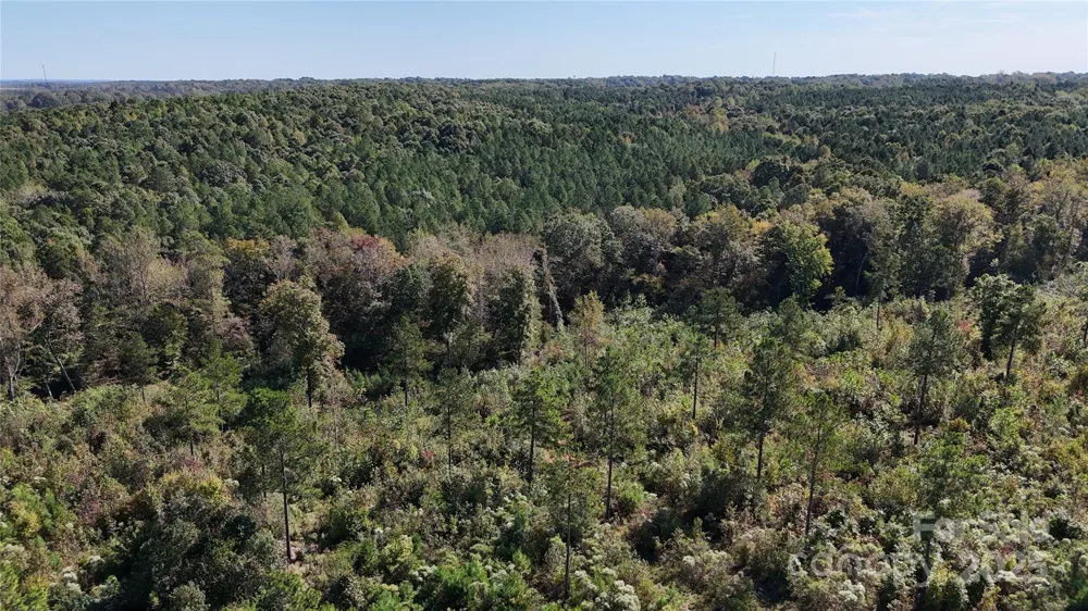 Lot 1 Farris Cato Road Pageland, SC 29728