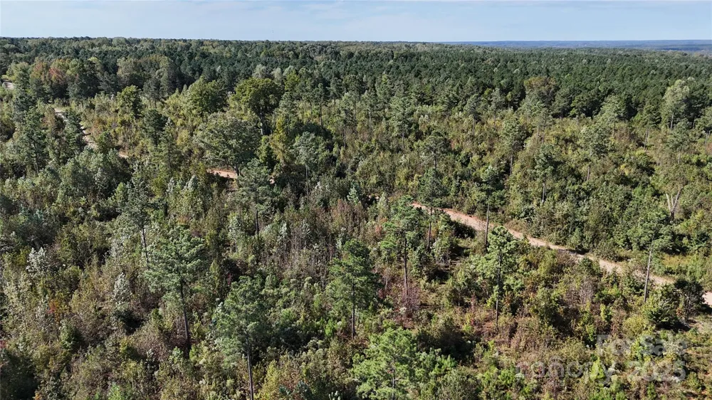 Lot 1 Farris Cato Road Pageland, SC 29728