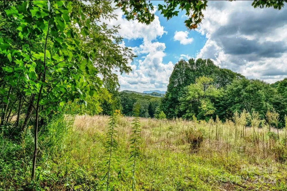 0 Cow Camp Road Newland, NC 28657