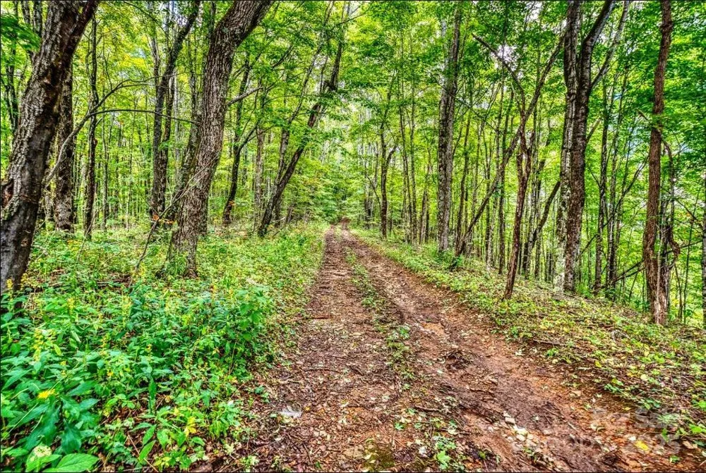 0 Cow Camp Road Newland, NC 28657