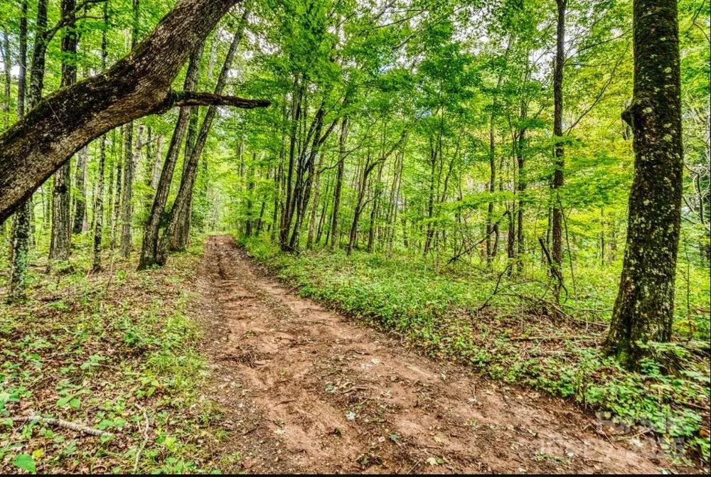 0 Cow Camp Road Newland, NC 28657