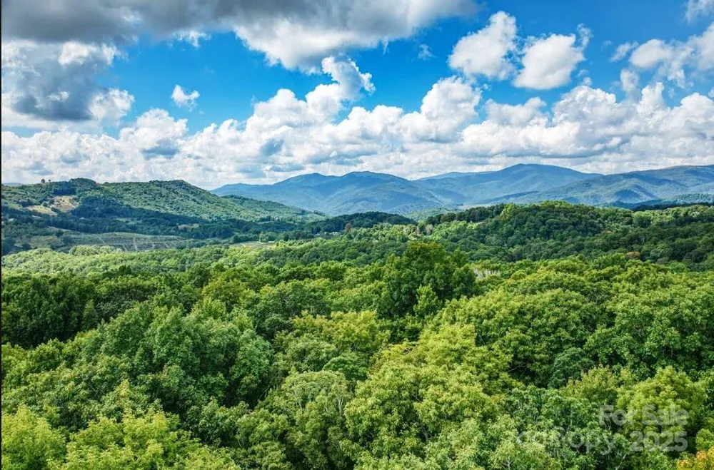 0 Cow Camp Road Newland, NC 28657