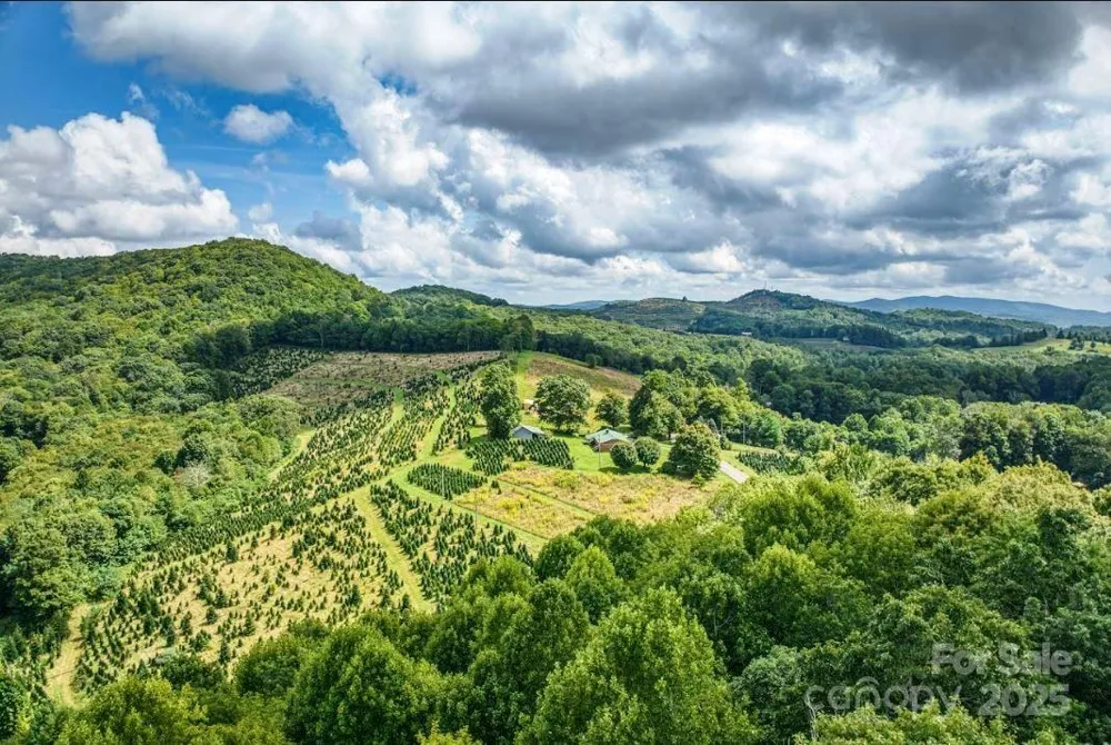 0 Cow Camp Road Newland, NC 28657
