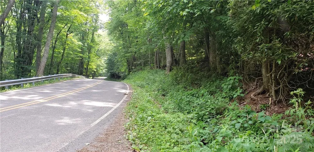 0 Cow Camp Road Newland, NC 28657