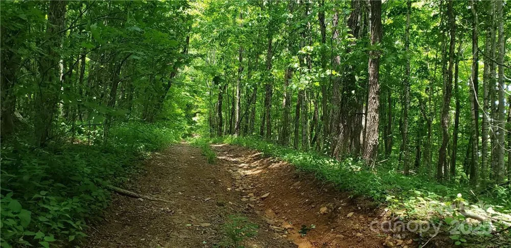 0 Cow Camp Road Newland, NC 28657