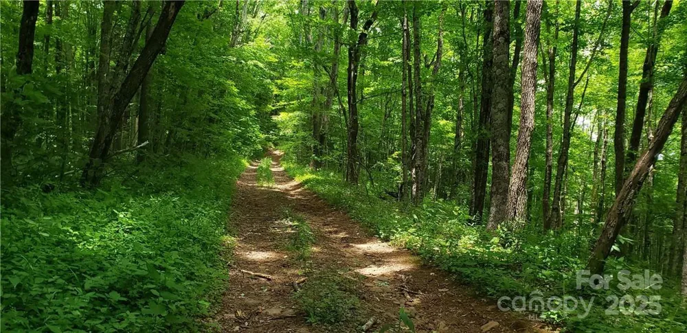 0 Cow Camp Road Newland, NC 28657