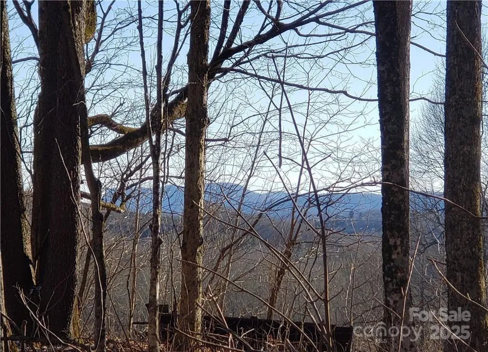 0 Cow Camp Road Newland, NC 28657
