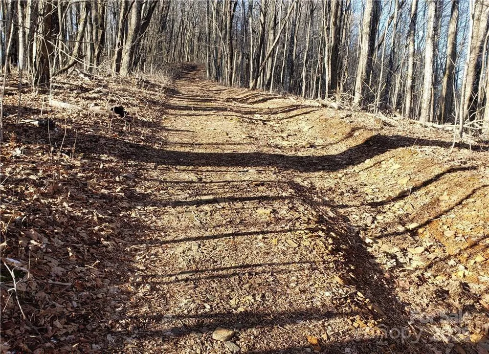 0 Cow Camp Road Newland, NC 28657