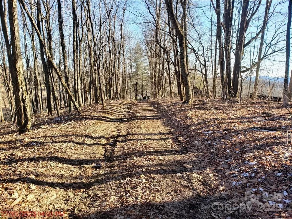 0 Cow Camp Road Newland, NC 28657