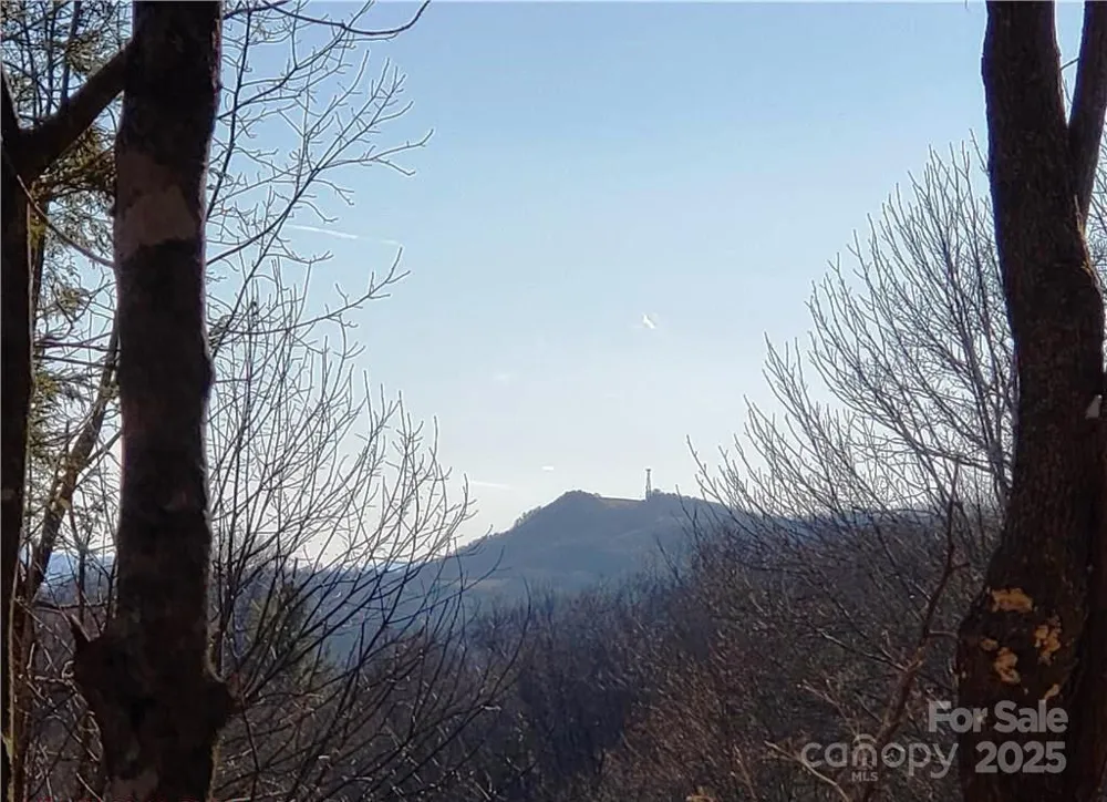 0 Cow Camp Road Newland, NC 28657