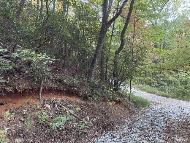 0 Wood Sorrel Lane Clayton, GA 30525
