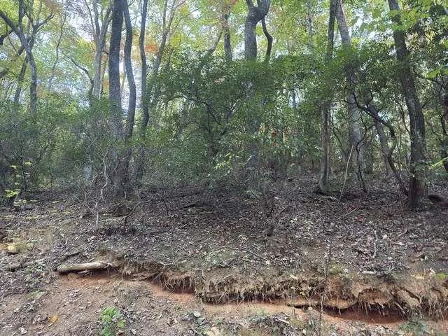 0 Wood Sorrel Lane Clayton, GA 30525