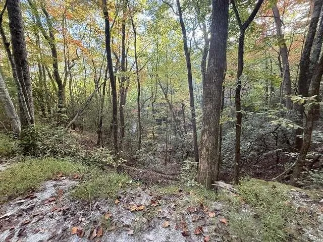 0 Wood Sorrel Lane Clayton, GA 30525