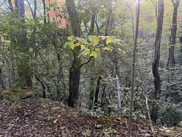 0 Wood Sorrel Lane Clayton, GA 30525