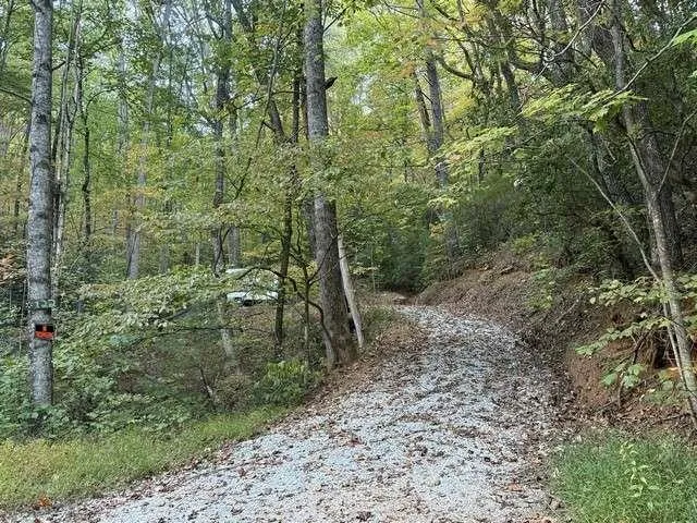 0 Wood Sorrel Lane Clayton, GA 30525
