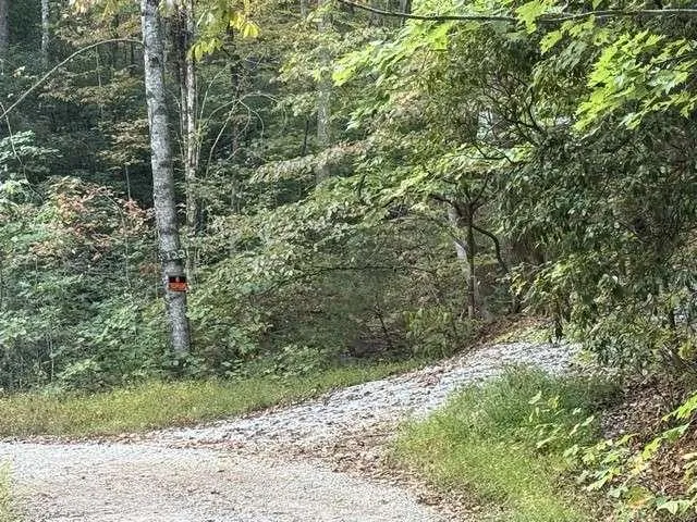 0 Wood Sorrel Lane Clayton, GA 30525