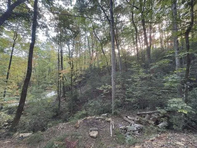 0 Wood Sorrel Lane Clayton, GA 30525