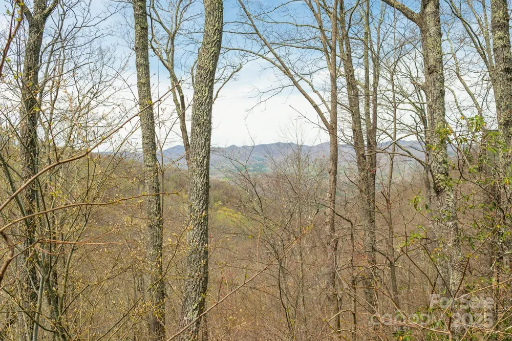 Lot 12 Heritage Ridge Loop Burnsville, NC 28714