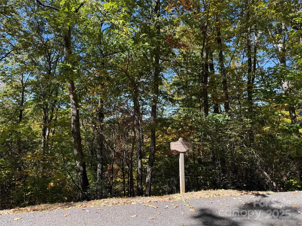 Lot 12 Heritage Ridge Loop Burnsville, NC 28714