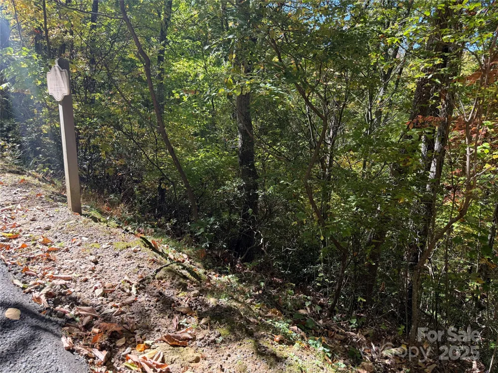Lot 12 Heritage Ridge Loop Burnsville, NC 28714