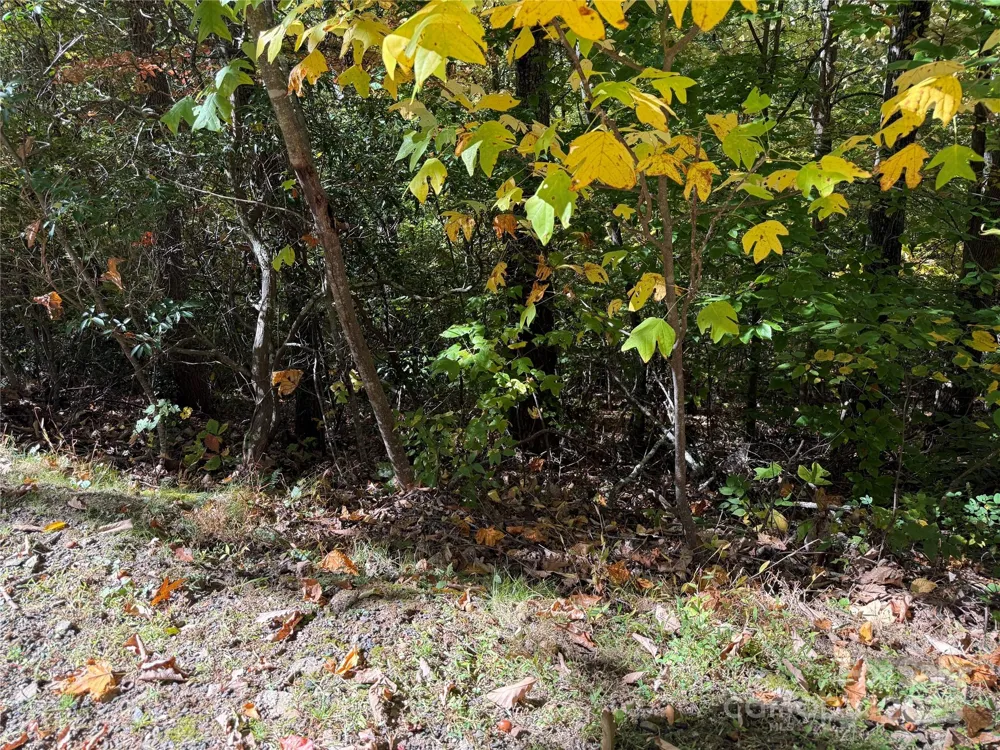 Lot 12 Heritage Ridge Loop Burnsville, NC 28714
