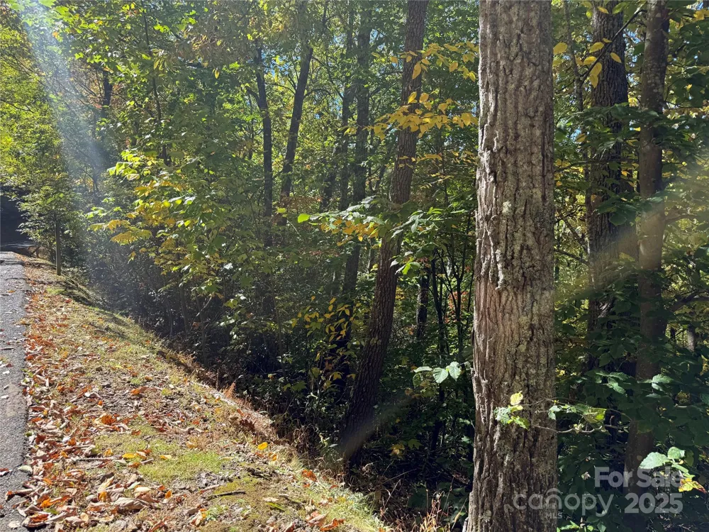 Lot 12 Heritage Ridge Loop Burnsville, NC 28714
