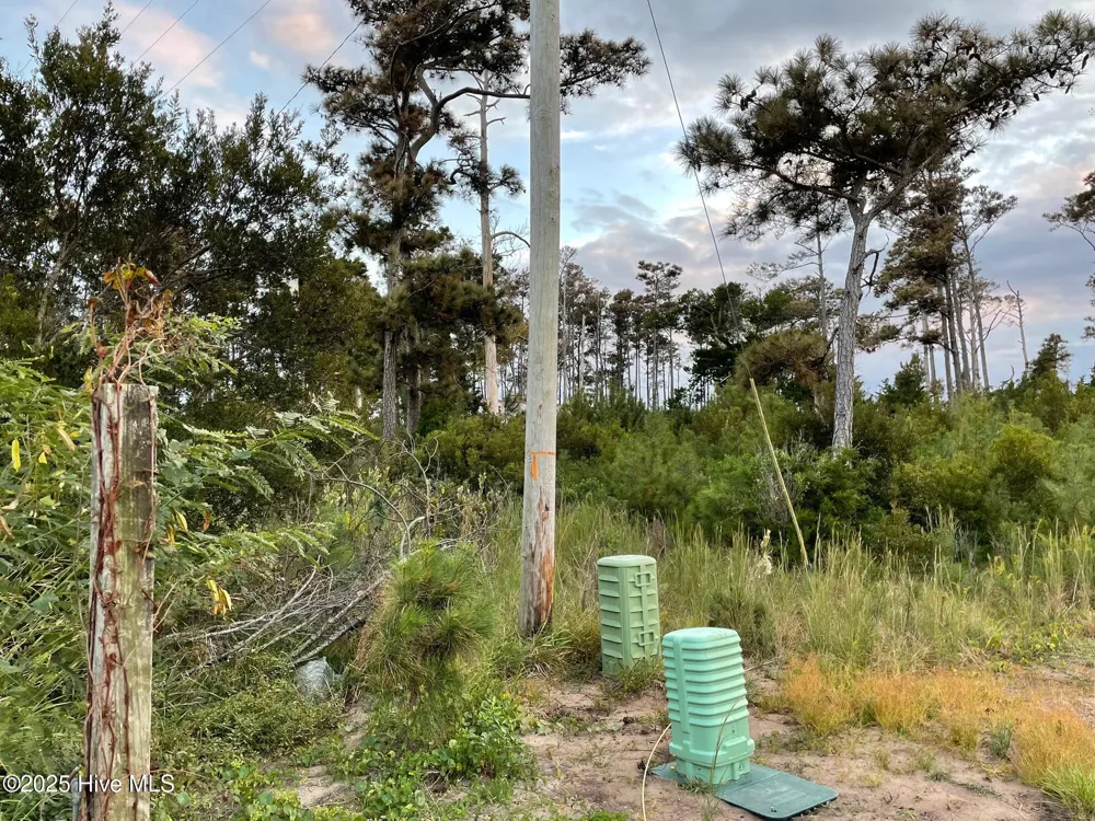 3019 Cedar Island Rd Cedar Island, NC 28520